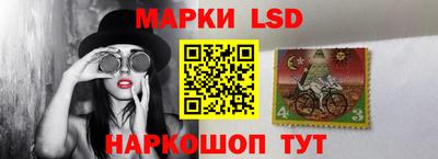 шишки Обнинск